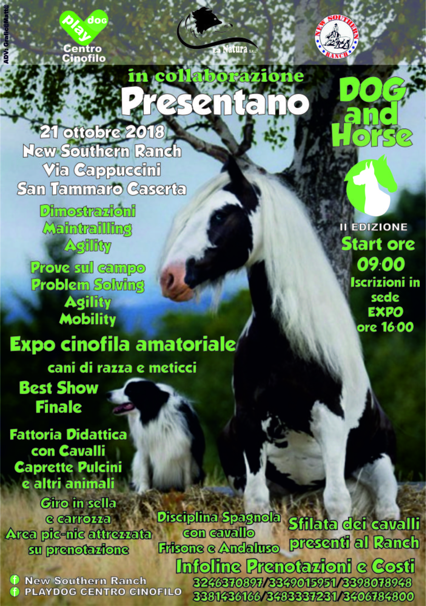 DOG and HORSE San Tammarogiornata dedicata ai nostri amici a 4 zampe, cani e cavalli in sfilata